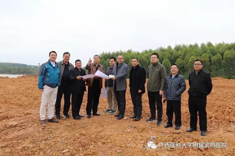 武鸣伊领村征地最新动态，发展与变化的交汇点