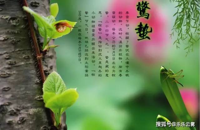 最新惊蛰图片，春天的生机与活力展现！